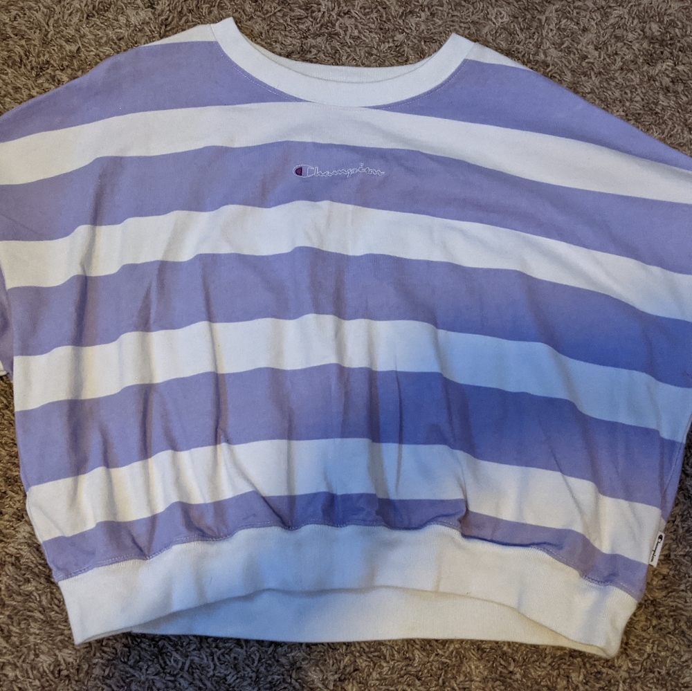‼️SOLD‼️Long sleeve purple striped Champion crew neck